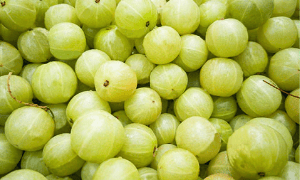 AMLA