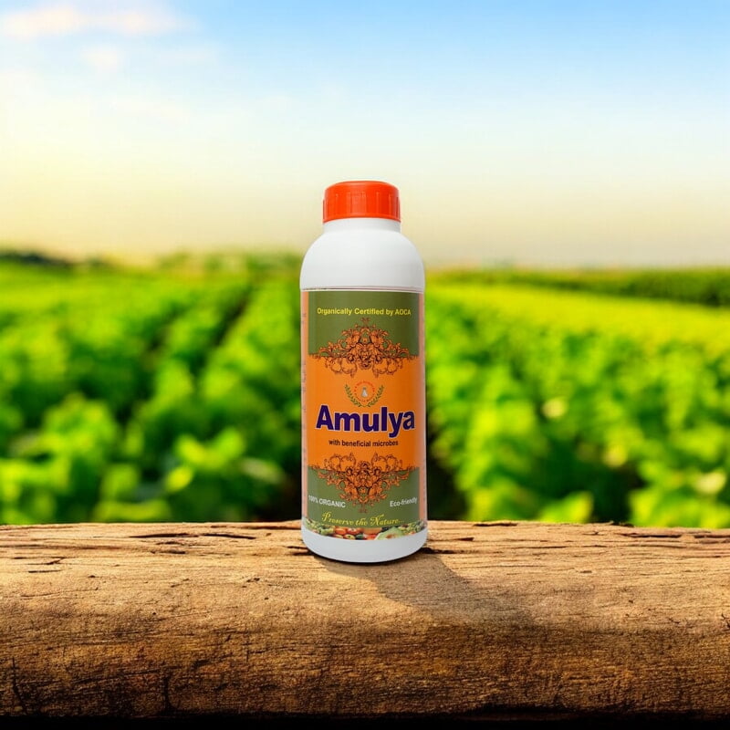 Amulya | Best Plant Growth promoter | Biological Stimulant