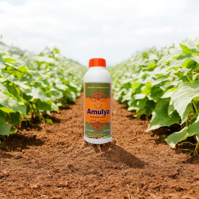 Amulya | Best Plant Growth promoter | Biological Stimulant