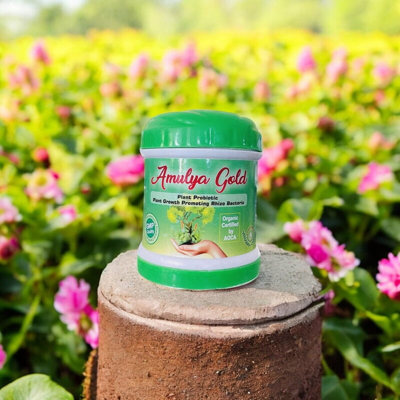 Amulya Gold: Preventing flower and fruit dropping | 100Gms