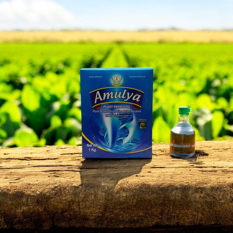 Amulya | Best Plant Growth promoter | Biological Stimulant