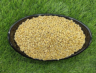 Sortex Clean Premium Quality Wheat (30kg Packaging)