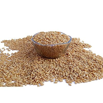 Sortex Clean Wheat (50kg Packaging)