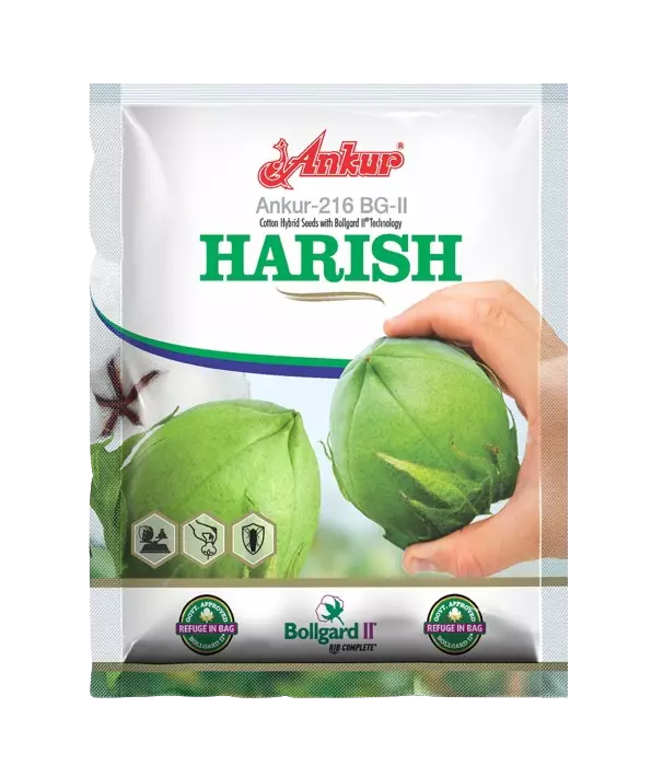Ankur Hybrid Cotton Seed Harish BG II