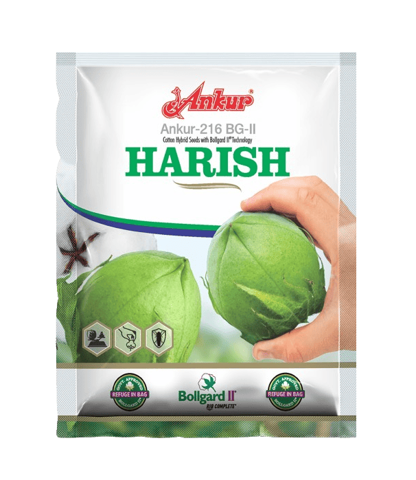 Ankur Hybrid Cotton Seed Harish BG II