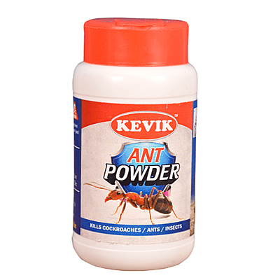 Ant powder 100 gms Box