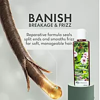 Harsha Naturals - Anti Dandruff Hair Oil - 100 ml