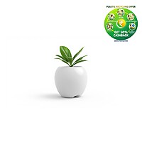 Apple Plastic Plant Pot | Decorative Round Planter | Multicolor