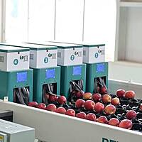 Post-Harvest Handling, Grading & Quality Management Training