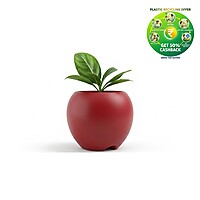 Apple Plastic Plant Pot | Decorative Round Planter | Multicolor