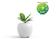 Apple Plastic Plant Pot | Decorative Round Planter | Multicolor