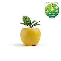 Apple Plastic Plant Pot | Decorative Round Planter | Multicolor