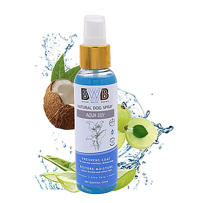 BWB AQUALILY_DEOSPRAY