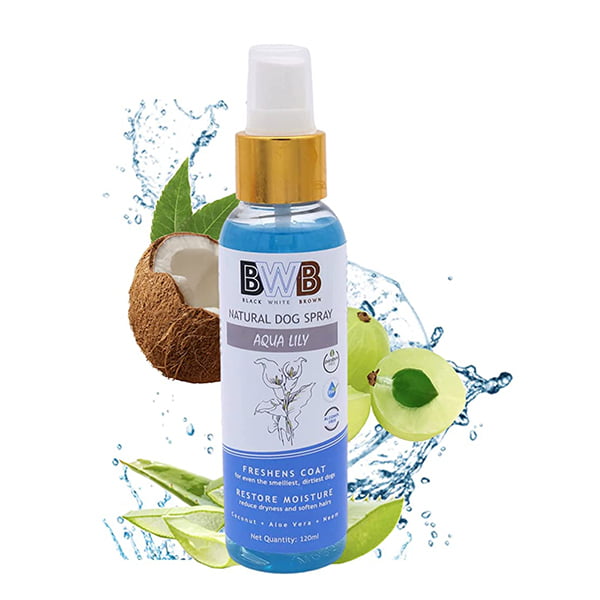 BWB AQUALILY_DEOSPRAY