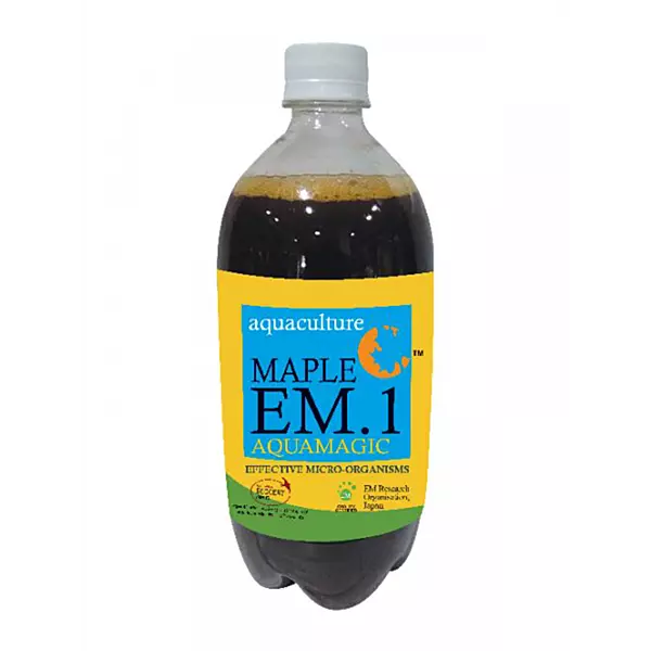 Maple EM.1 Aquamagic