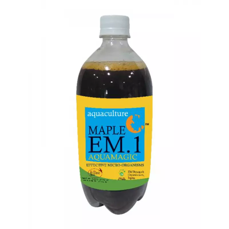 Maple EM.1 Aquamagic