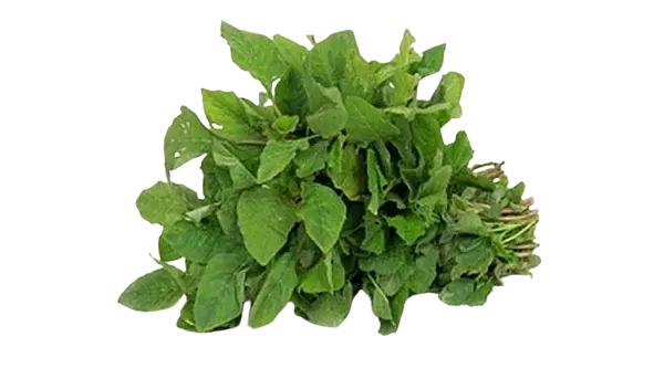 Arai Keerai அறைக்கீரை