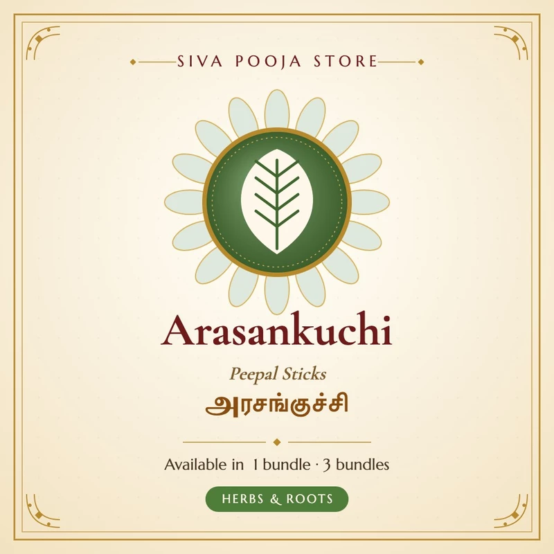 Arasankuchi (Peepal Sticks) | அரசங்குச்சி