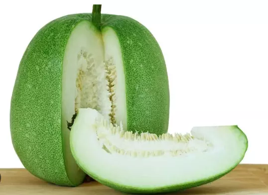 ASH GOURD