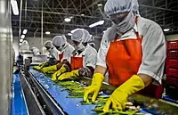 Food Processing Unit Cleaning (Agri-Based)