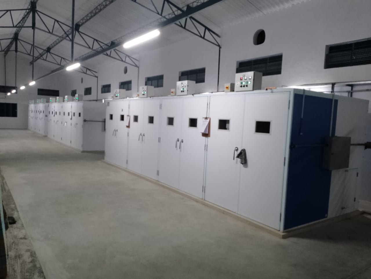 Egg Setter 68,544 (IS-68)