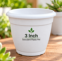 3 Inch Succulent Plastic Pot | ECSHA
