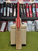 CRICKET BAT GN DELTA GN4