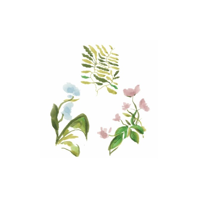 Kuretake ZIG Clean Color Real Brush with Mangaka 7VK