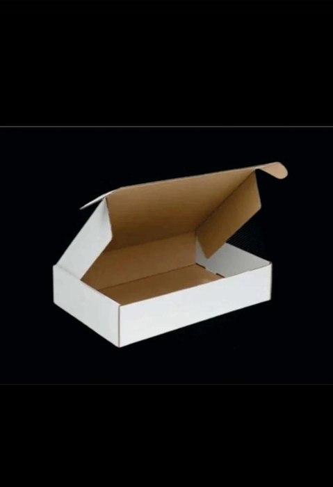 Corrugated  mailer box