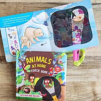 Animals At Home: An Interactive Torch Discovery Book