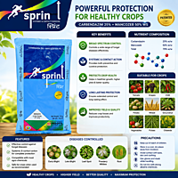 Indofil Sprint Fungicide | Vetrivel Agro Services