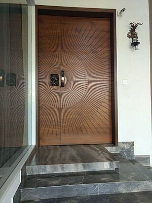 Door Skin 010