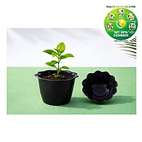 Plastic Baby Pot | 3 Inch | Multi Color | Indoor Round Pot