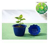 Plastic Baby Pot | 3 Inch | Multi Color | Indoor Round Pot