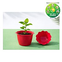 Plastic Baby Pot | 3 Inch | Multi Color | Indoor Round Pot