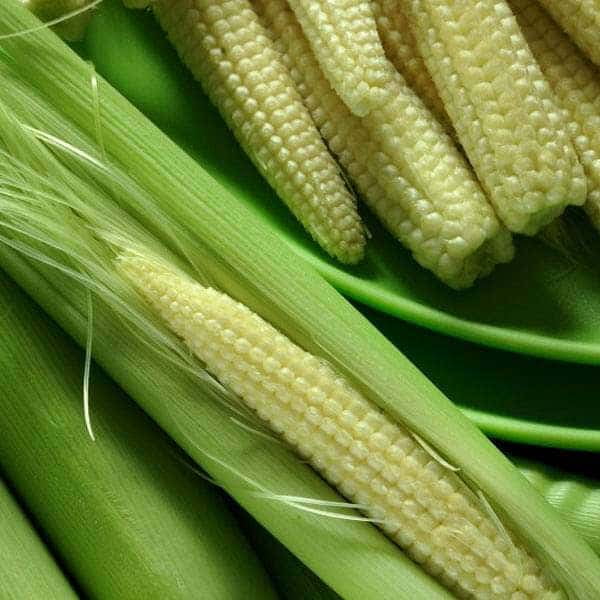 Baby Corn