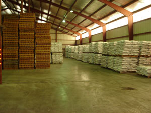 Pulses & Oilseeds Storage Warehouse Rental