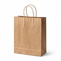 Eco-Friendly Kraft Paper Carry Bag | Recyclable Paper Shopping Bag | Ecosphere