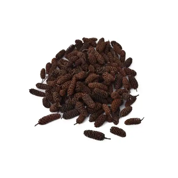 Small baj pine cones for rustic crafts and exotic decor