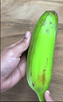 Ash Plantain (Cooking Banana)