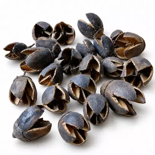 Bakuli Dried