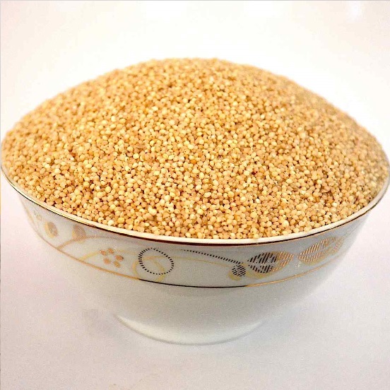 Barnyard Millet