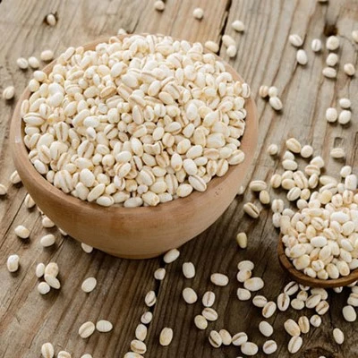 Barley-Hordeum Vulgare