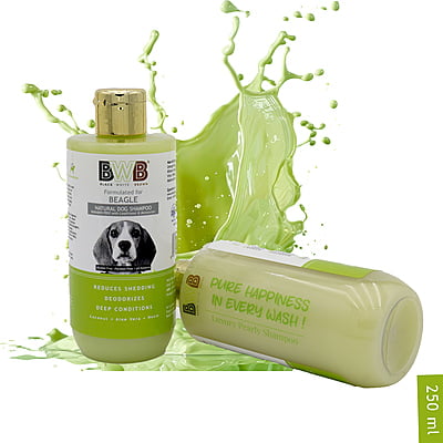 BWB BEAGLE SHAMPOO_250ML