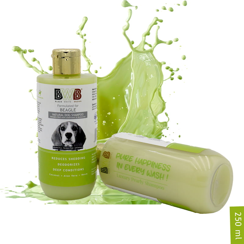 BWB BEAGLE SHAMPOO_250ML