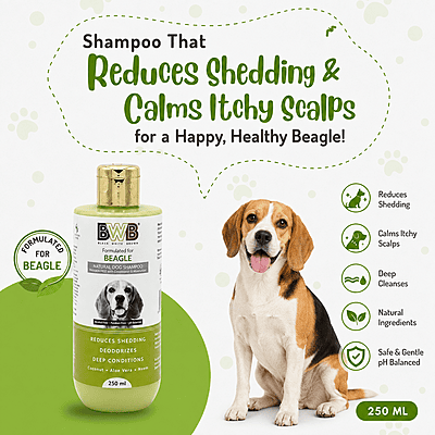BWB BEAGLE SHAMPOO