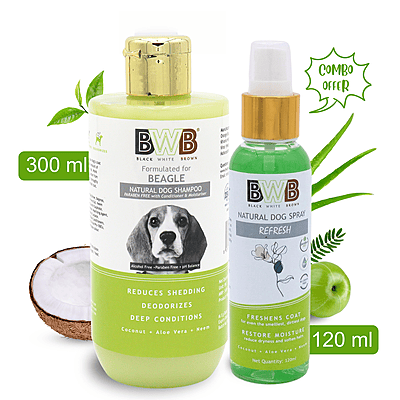 Beagle Shampoo (250 ml + deospray)