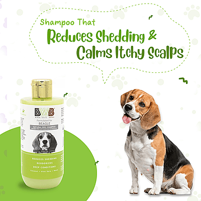 BWB BEAGLE SHAMPOO_250ML BWB BEAGLE SHAMPOO_250ML