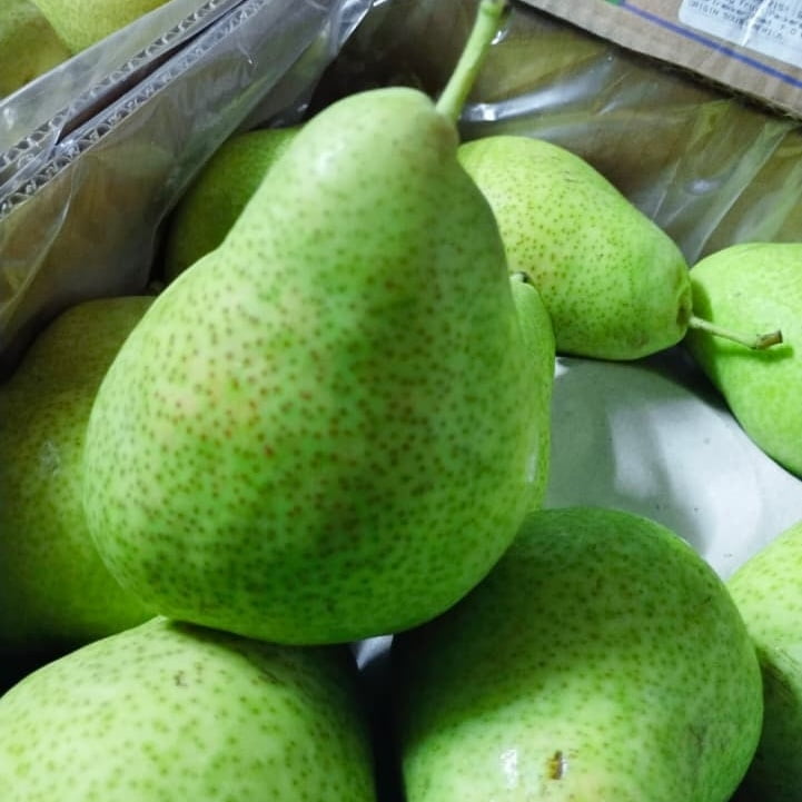 Beauty Pear | 4 Pc | 750-850gms |