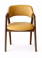 Tashi Upholstered Back Dining Chair